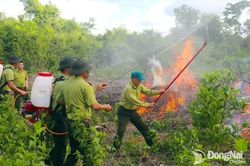 Diễn tập chữa cháy rừng tại Khu Bảo tồn thiên nhiên - văn hóa Đồng Nai