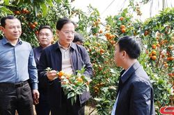 Hành trình trở thành điểm sáng nông nghiệp:Kỳ 1 - Quyết sách trúng, quyết tâm cao
