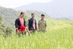 Bài 2: Nghệ thuật đưa 'quốc pháp' nhập 'gia phong'