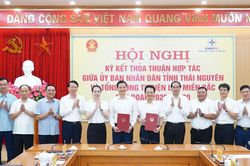 Th&aacute;i Nguy&ecirc;n v&agrave; Tổng C&ocirc;ng ty Điện lực miền Bắc tăng cường hợp t&aacute;c ph&aacute;t triển hạ tầng điện