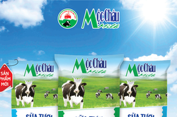 Cổ đông của Mộc Châu Milk (MCM) sắp nhận được 110 tỷ đồng tiền trả cổ tức