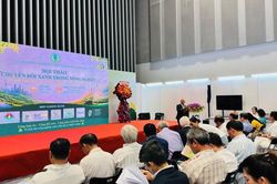 Chuyển đổi xanh - 'tấm thị thực' để hàng hóa Việt tham gia sâu hơn vào thị trường toàn cầu