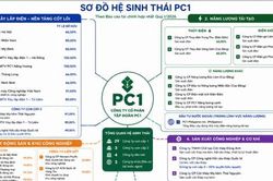 Ngoài xây lắp và năng lượng, hệ sinh thái đa ngành của PC1 lớn cỡ nào?