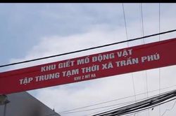 Hà Nội siết chặt xử lý chợ tạm và hoạt động giết mổ nhỏ lẻ Bài 2: Xử lý nghiêm các cơ sở giết mổ vi phạm, hướng tới chuỗi cung ứng thực phẩm an toàn