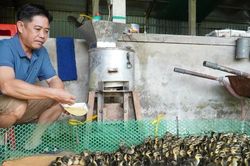 Mở hướng thoát nghèo bền vững cho đồng bào Khmer