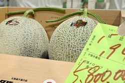 Dưa lưới Hokkaido thượng hạng của Nhật Bản đạt mức giá kỷ lục 36.500USD