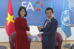 FAO luôn coi trọng Việt Nam là đối tác quan trọng trong khu vực