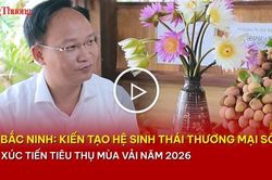 Bắc Ninh: Kiến tạo hệ sinh thái thương mại số xúc tiến tiêu thụ vải thiều