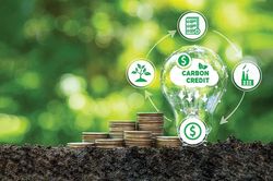 Liên minh thị trường carbon: Bước ngoặt hợp tác định giá carbon toàn cầu