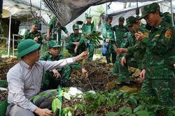 Hội nghị tập huấn kỹ thuật trồng sâm Lai Châu