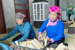 Giữ hồn văn h&oacute;a, tạo sinh kế bền vững từ bảo tồn v&agrave; ph&aacute;t triển l&agrave;ng nghề