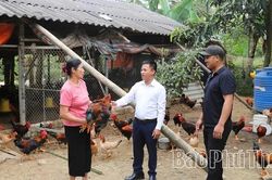 Nông dân Phú Thọ: Năng động để làm giàu trên chính mảnh đất quê hương