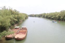 Đá ngầm, bãi cọc, lồng bè uy hiếp luồng đường thủy miền Trung