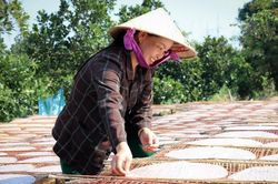 Bánh tráng Đại Lộc: Từ hương vị truyền thống đến hành trình vươn xa
