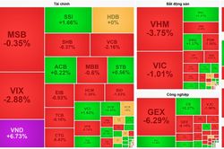 Cổ phiếu 'họ Vin' gây áp lực lên VN-Index, VND ngược dòng tăng trần