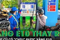 Xăng E10 thay R95: Xe đời cũ, máy cắt cỏ, máy bơm phun thuốc có 'chịu' được xăng E10?
