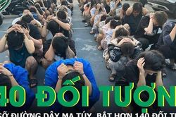 TPHCM bóc gỡ đường dây ma túy liên tỉnh cực lớn, bắt và xử lý 140 đối tượng