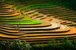 Ngắm ruộng bậc thang Tả Van mùa nước đổ
