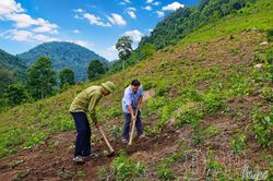 Gỡ 'nút thắt' thu nhập trong xây dựng nông thôn mới