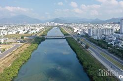 Khẩn trương thực hiện phương án phát quang, loại bỏ hàng cây không có trong thiết kế ở Dự án Chỉnh trị hạ lưu Sông Tắc - sông Quán Trường