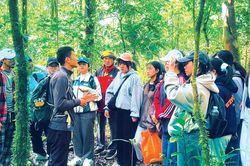 Du lịch rừng - những lưu ý