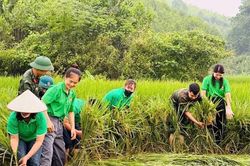 Đổi mới c&ocirc;ng t&aacute;c d&acirc;n vận