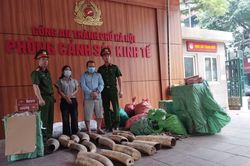 Hà Nội: Phá đường dây buôn lậu ngà voi, lộ kho thuốc lá lậu khủng