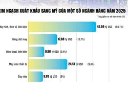 Xuất khẩu sang Mỹ: Chủ động vượt rào cản để giữ vững thị trường