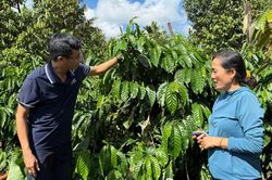 Tăng tốc thực thi Quy định Chống ph&aacute; rừng