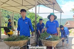 Chủ nhật xanh của tuổi trẻ Nghệ An