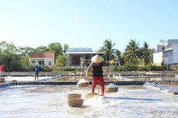 Diêm dân Gia Lai chật vật ngay từ đầu vụ muối