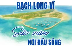 Bạch Long Vĩ: Sức vươn nơi đầu sóng