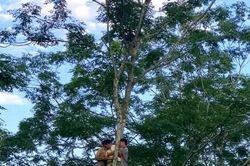 Công an xã Nật Sơn kịp thời cứu người dân trong tình huống đặc biệt nguy hiểm