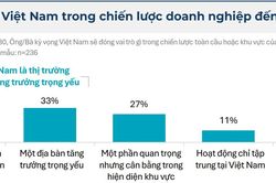FDI l&agrave; điểm s&aacute;ng, nhưng lan tỏa vẫn l&agrave; b&agrave;i to&aacute;n kh&oacute;