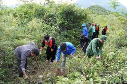 Đồn Biên phòng Xuân Trường phối hợp phát quang tầm nhìn biên giới tại mốc 592
