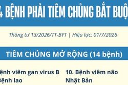 [Infographic] 14 bệnh phải sử dụng vaccine, sinh phẩm trong tiêm chủng bắt buộc