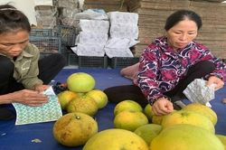 Doanh nghiệp có trách nhiệm chủ động thực thi quyền sở hữu trí tuệ