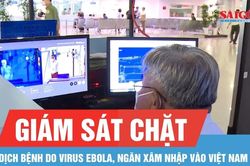 Giám sát chặt dịch bệnh do virus Ebola, ngăn xâm nhập vào Việt Nam