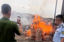 'Lệch pha' trong quản lý thị trường: Khi xác ve sầu, hạt mix, mai vàng cũng cần 'giấy thông hành'?