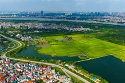 Cận cảnh 3 khu tái định cư quy mô lớn phục vụ dự án cầu Tứ Liên và cầu Trần Hưng Đạo