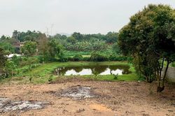 Chuyển đất vườn, ao sang đất ở: Hà Nội quy định thời gian xử lý 15 ngày