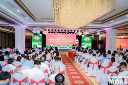 Ban Chỉ đạo 35 Tỉnh ủy Nghệ An tổ chức tập huấn kỹ năng, nghiệp vụ cho đội ngũ l&agrave;m c&ocirc;ng t&aacute;c bảo vệ nền tảng tư tưởng của Đảng