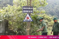 Siết chặt biện pháp phòng, chống cháy rừng ven sông Ngàn Phố