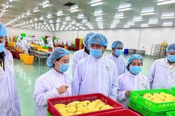 Ngành nông nghiệp định hình mục tiêu tăng trưởng xanh, bền vững và toàn diện