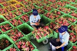 Việt Nam chia sẻ thông tin hệ thống truy xuất nguồn gốc nông sản