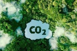 Hoàn thiện hành lang pháp lý, tăng tốc vận hành thị trường carbon