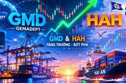 HAH, GMD hưởng lợi từ giá cước neo cao và mở rộng công suất, dư địa tăng giá cổ phiếu còn lớn