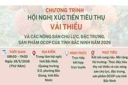 Bắc Ninh xúc tiến tiêu thụ vải thiều và nông sản 2026