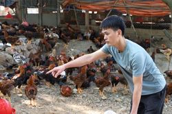 Bắc Ninh chủ động bảo vệ đ&agrave;n vật nu&ocirc;i khi thời tiết nắng n&oacute;ng
