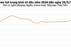Giá heo hơi hôm nay 25/5: Thị trường đi ngang, cao nhất 70.000 đồng/kg